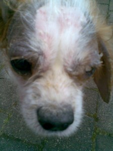 Fin at his Worst Fin at his Worst