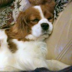 iPhone pics 2011 061